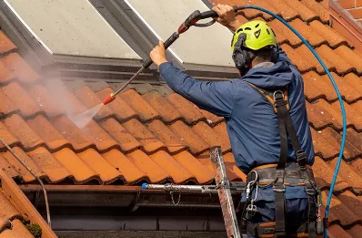 Démoussage et hydrofuge de toiture à Monacia-d'Orezza